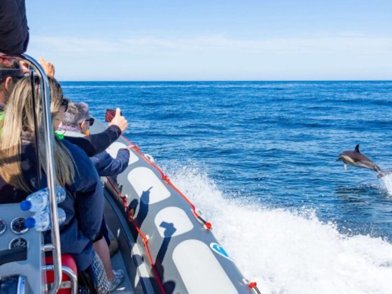 Caves And Dolphins Boat Tour From Albufeira - Start your discovery by traveling 18 km along the Algarve coast, from the...